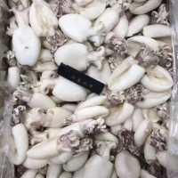 目鱼仔40-60规格批发，适合中西餐，海鲜自助，火锅，日料，烧烤