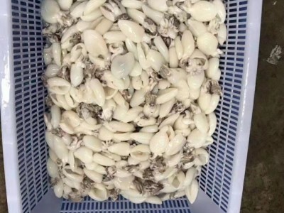 目鱼仔40-60规格批发，适合中西餐，海鲜自助，火锅，日料，烧烤图4