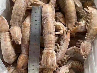皮皮虾姑 全规格批发，适合中西餐，海鲜自助，火锅，日料，烧烤图2