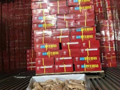 皮皮虾姑 全规格批发，适合中西餐，海鲜自助，火锅，日料，烧烤图4