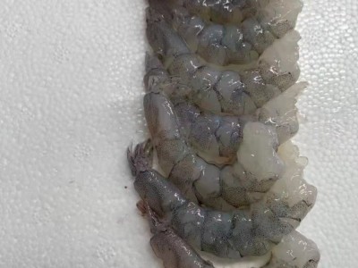青虾仁16-20 全规格批发，适合中西餐，虾滑,水饺图2