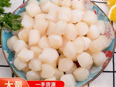 海湾冻扇贝柱350g/袋 新鲜扇贝柱干贝 海鲜冷冻水产品贝类批发图2