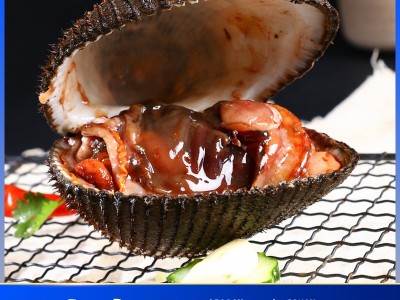 东港产地海鲜贝类赤贝批发 鲜活蛤蜊 大毛蛤血蛤贝类火锅食材图5