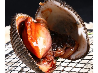 东港产地海鲜贝类赤贝批发 鲜活蛤蜊 大毛蛤血蛤贝类火锅食材图4