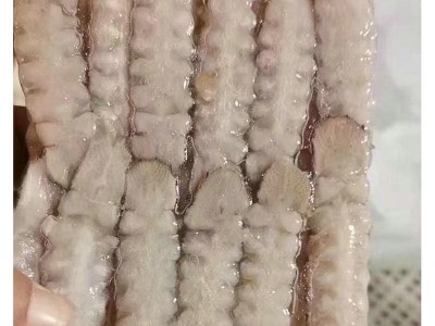 产地供应鲜活皮皮虾 新鲜小虾姑大琵琶虾海鲜皮皮虾虾爬子批发图3
