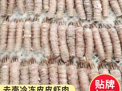 产地供应鲜活皮皮虾 新鲜小虾姑大琵琶虾海鲜皮皮虾虾爬子批发图5