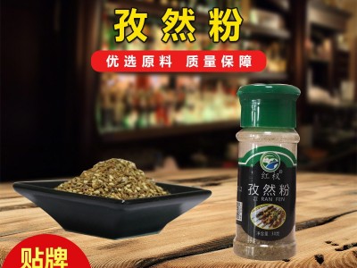 厂家直供大量批发30g瓶装红权香辛料各种烧烤调味料孜然粉图4