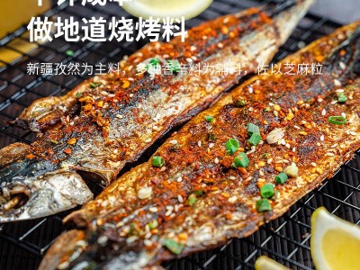 美味佳正宗烧烤调料撒料家用万能烧烤粉烤肉羊肉串料孜然五香麻辣图3