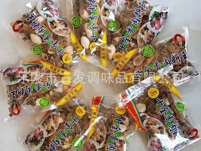 大量批发25g袋装十全香肉料王牛羊猪鸡鸭煲汤煮肉炖卤料肉料王图4