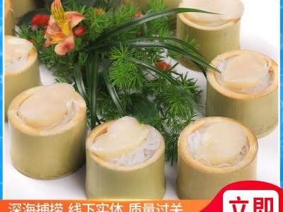 【吉贺舟】淡干海参鲍鱼双拼礼盒工厂直供 节庆送礼淡干海参鲍鱼图2