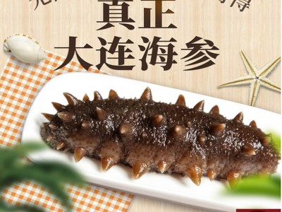 【自营工厂现货】 大连鲜食海参500克鲜食海参批发非半干非即食图1