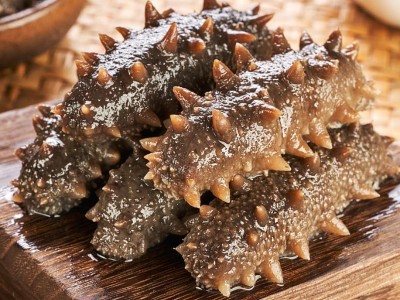 【吉贺舟】今年头茬秋参冷冻即食鲜食海参水产海鲜礼盒500克海参图2