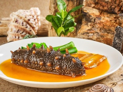 【吉贺舟】今年头茬秋参冷冻即食鲜食海参水产海鲜礼盒500克海参图4