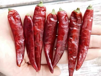 【辣椒干特辣魔鬼椒】【香辣朝天椒】辣椒粉粗中细粉油泼辣子图3