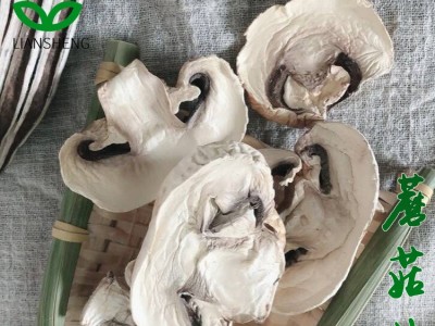 联升食品 推荐 烘干蘑菇片脱水蘑菇片 蘑菇干 菌类图2