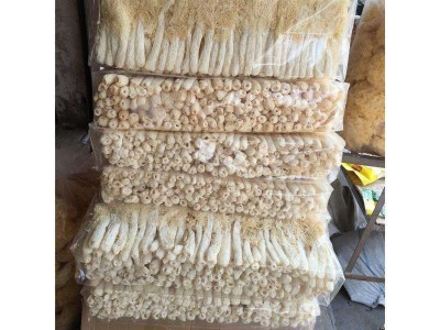 福建古田竹荪肉厚 无硫农家长裙竹笙 50g 南北干货年货产地批发图3