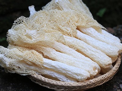 福建古田竹荪肉厚 无硫农家长裙竹笙 50g 南北干货年货产地批发图2