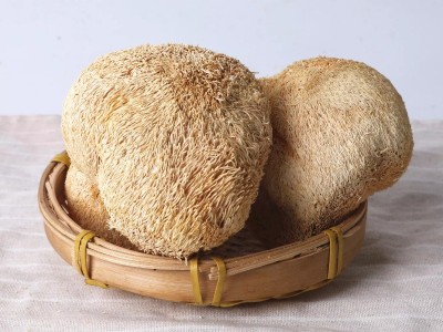 【干度好】无硫猴头菇干货250g 散装猴头菌猴菇批发包邮 产地直销图3