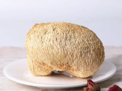 【干度好】无硫猴头菇干货250g 散装猴头菌猴菇批发包邮 产地直销图5