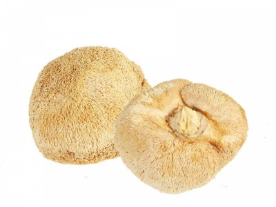 【干度好】无硫猴头菇干货250g 散装猴头菌猴菇批发包邮 产地直销图4