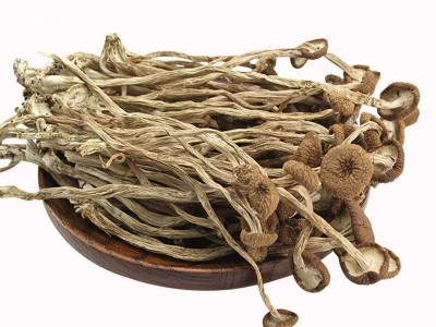 不开伞茶树菇干货无硫新货500g小包装散装 农家自产煲汤炖罐材料图5