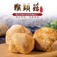 鑫兴猴头菇新货500g无熏硫猴头菌干货非野外生长猴头蘑菇直销批发