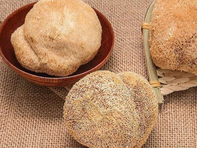 鑫兴猴头菇新货500g无熏硫猴头菌干货非野外生长猴头蘑菇直销批发图3