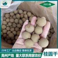 果场工厂加工生产桂圆干整箱散装大量批发优质高州8a新货龙眼干