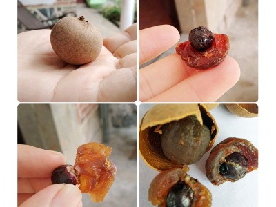 优质桂圆干整箱大量批发高州特大果龙眼干散装8a新货级厂家直发图4