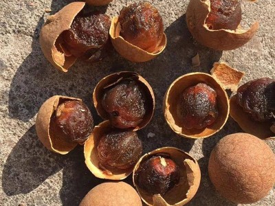 优质桂圆干整箱大量批发高州特大果龙眼干散装8a新货级厂家直发图3