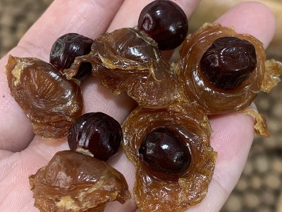 优质桂圆干整箱大量批发高州特大果龙眼干散装8a新货级厂家直发图2