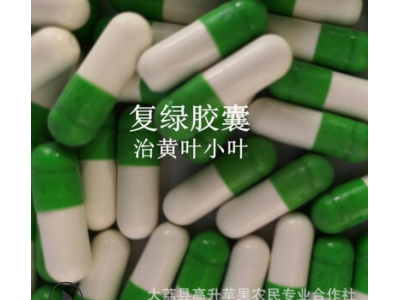 供应植物生长调节剂 植物细胞分裂素 膨胀剂 膨果剂 砂糖橘膨大图4