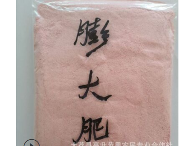 供应植物生长调节剂 植物细胞分裂素 膨胀剂 膨果剂 砂糖橘膨大图5