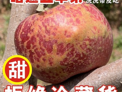 一件代发云南昭通丑苹果冰糖心新鲜孕妇当季整箱10斤现摘包邮图2