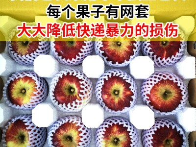 一件代发云南昭通丑苹果冰糖心新鲜孕妇当季整箱10斤现摘包邮图4