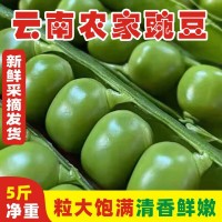 云南豌豆新鲜带壳青豆角粒农家蔬菜水果甜豆荚嫩5斤当季整箱包邮