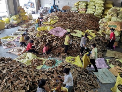 产地直供福建永安笋干竹笋笋尖碳烤压榨笋笋尖嫩尖农家散装土特产图4