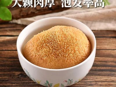一件代发古田头茬6cm以上猴头菇干货250g食用菌农产品煲汤原料图4