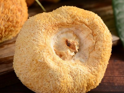 一件代发古田头茬6cm以上猴头菇干货250g食用菌农产品煲汤原料图2