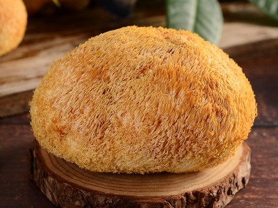 一件代发古田头茬6cm以上猴头菇干货250g食用菌农产品煲汤原料图3