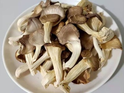 一件代发真姬菇干货250g古田食用菌平菇煲汤菌汤包原料餐饮供应图2
