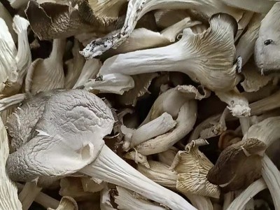 一件代发真姬菇干货250g古田食用菌平菇煲汤菌汤包原料餐饮供应图3