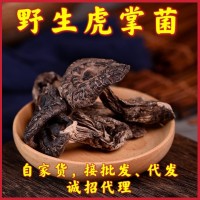 西藏产地批发黑虎掌菌干货非云南黑虎掌菌煲汤食材大量现货供应
