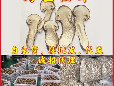 西藏野生松茸干片货批发云南香格里拉松茸干货雅江野生大量现货图2