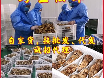 野生松茸新鲜西藏香格里拉新鲜松茸四川雅江小金云南松茸菌菇现货图3
