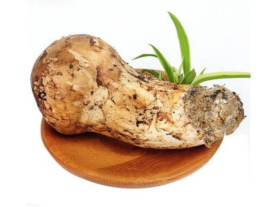 野生松茸新鲜西藏香格里拉新鲜松茸四川雅江小金云南松茸菌菇现货图5