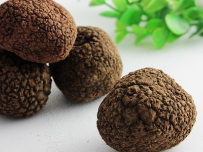 产地直销 现货供应 食用菌 黑松露 块菌图2