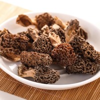 羊肚菌 产地直销 现货供应 食用菌 菌类干活