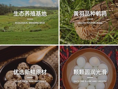 优食五香味盐焗味密封包装鹌鹑蛋外出休闲小零食小卤蛋无壳鹌鹑蛋图5