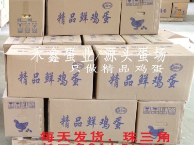 源头蛋场直供平价散养鸡蛋批发 整箱360颗批发鸡蛋当天发货图2